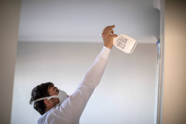  Roanoke Rapids, NC Mold Removal Pros