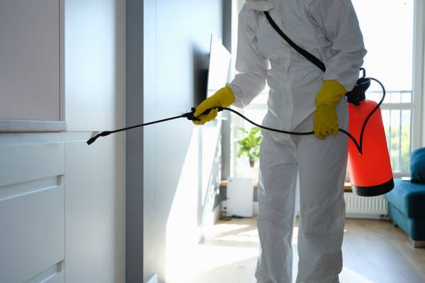 Certified Mold Removal in Roanoke Rapids, NC