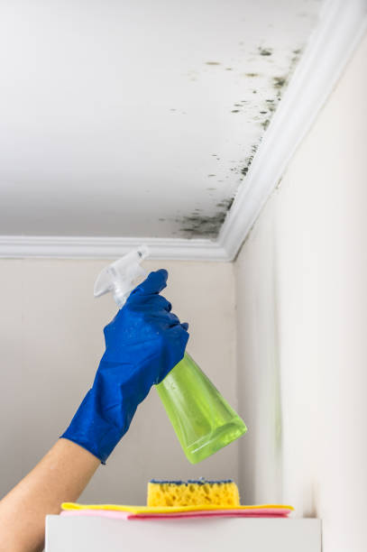 Water Damage Restoration in Roanoke Rapids, NC